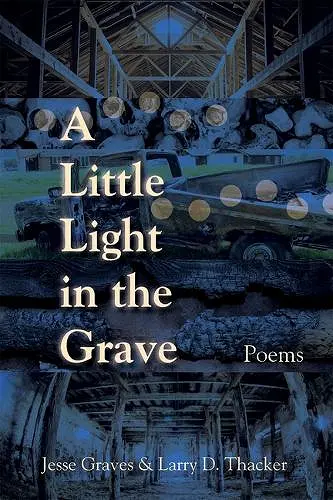 A Little Light in the Grave, Volume 48 cover