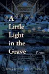 A Little Light in the Grave, Volume 48 cover