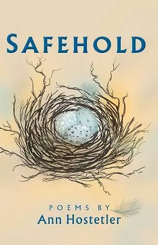 Safehold cover