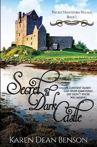 Secret at Dark Castle cover