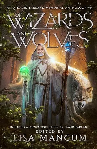 Of Wizards and Wolves cover