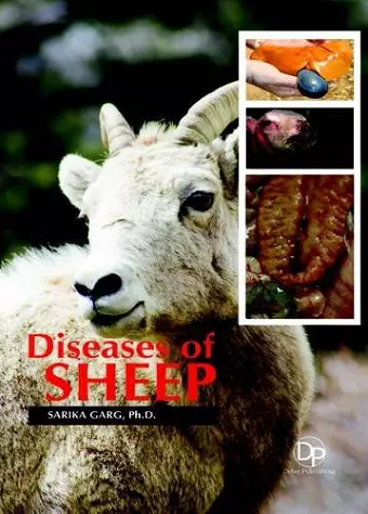 Diseases of Sheep cover