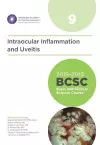 2018-2019 Basic and Clinical Science Course (BCSC), Section 9: Intraocular Inflammation and Uveitis cover