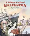 A Place Called Galveston cover