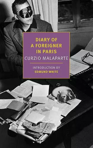 Diary of a Foreigner in Paris cover