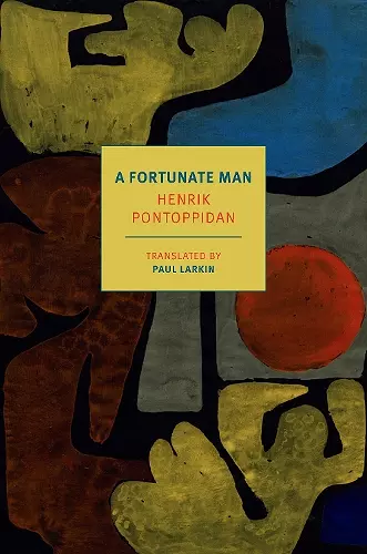 A Fortunate Man cover