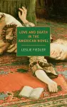 Love and Death in the American Novel cover