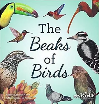 The Beaks of Birds cover