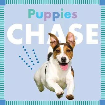 Puppies Chase cover