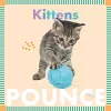 Kittens Pounce cover