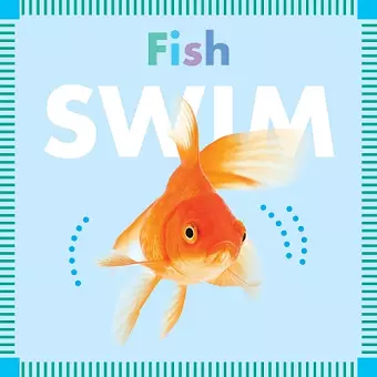 Fish Swim cover