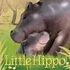 Little Hippo cover
