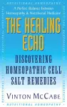 The Healing Echo cover