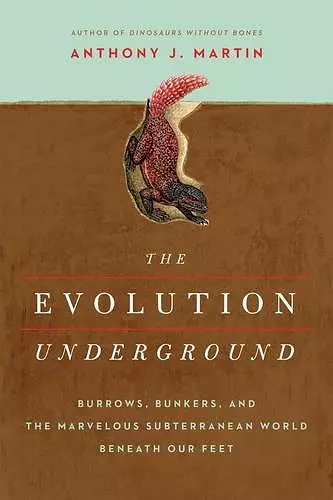 The Evolution Underground cover