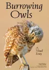 Burrowing Owls cover