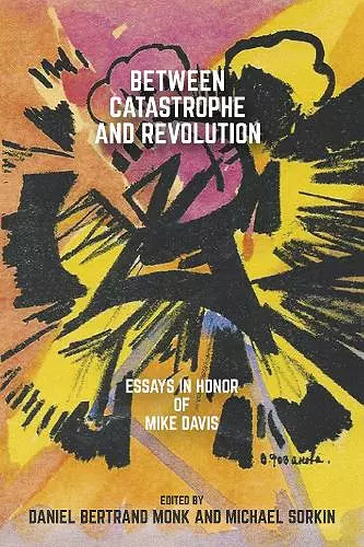 Between Catastrophe and Revolution cover