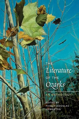 The Literature of the Ozarks cover