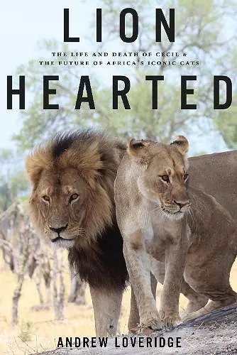 Lion Hearted cover