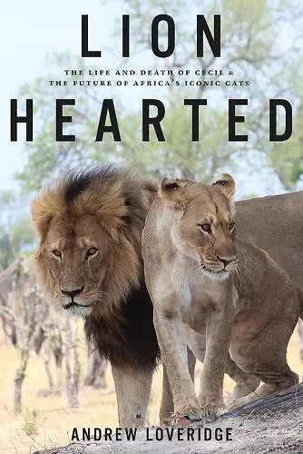 Lion Hearted cover