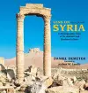 Lens on Syria cover