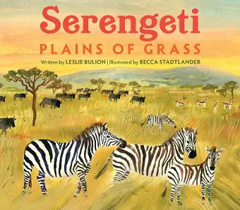 Serengeti cover