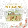 Colorful Wyoming Coloring Journal cover