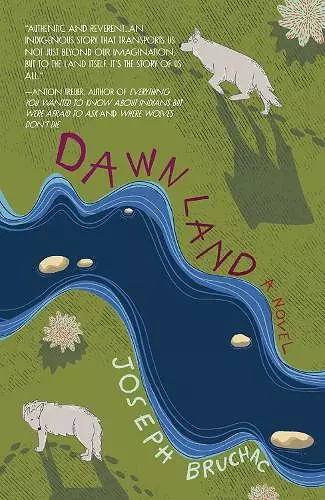 Dawn Land cover