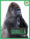 Spotlight on Nature: Gorilla cover