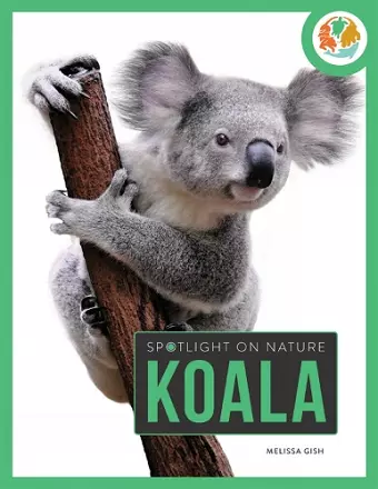 Spotlight on Nature: Koala cover
