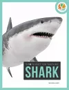 Spotlight on Nature: Shark cover