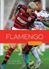 Flamengo cover