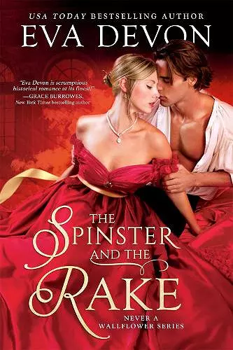 The Spinster and the Rake cover