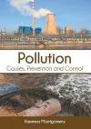 Pollution: Causes, Prevention and Control cover