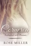 Cornered cover