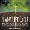 Plant Life Cycle (How Plants Grow) cover