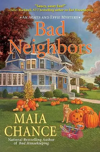 Bad Neighbors cover