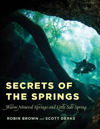 Secrets of the Springs cover