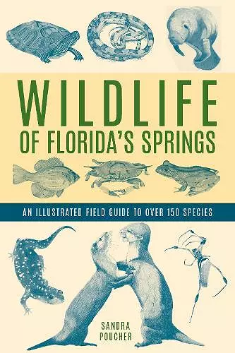 Wildlife of Florida's Springs cover