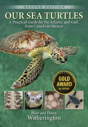 Our Sea Turtles cover