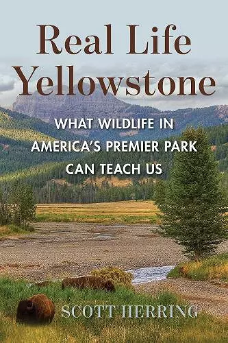 Real Life Yellowstone cover