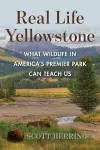 Real Life Yellowstone cover