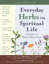 Everyday Herbs in Spiritual Life cover