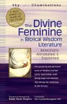 The Divine Feminine in Biblical Wisdom Literature cover