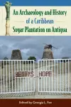 An Archaeology and History of a Caribbean Sugar Plantation on Antigua cover