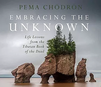 Embracing the Unknown cover