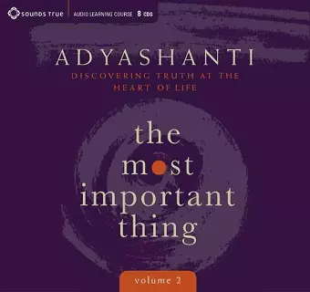 Most Important Thing, Volume 2 cover