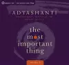 Most Important Thing, Volume 2 cover