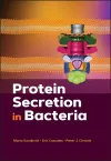 Protein Secretion in Bacteria cover