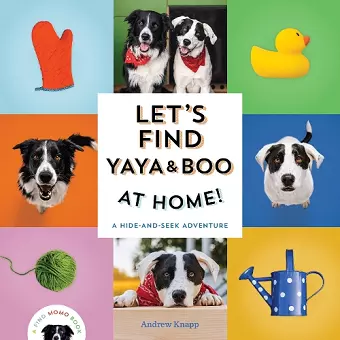 Let's Find Yaya and Boo at Home!  cover