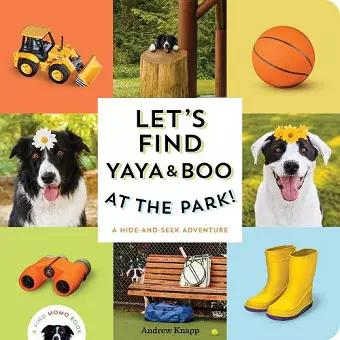 Let's Find Yaya and Boo at the Park! cover
